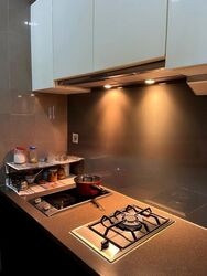 Belle Vue Residences (D9), Condominium #455048201